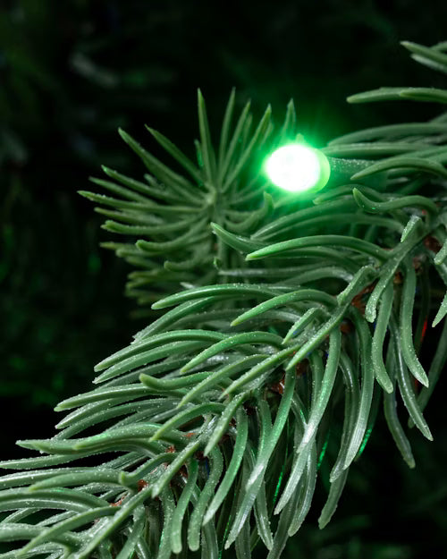 The 7ft Ultra Devonshire Fir Pre-lit with Warm White/Multicoloured Colour