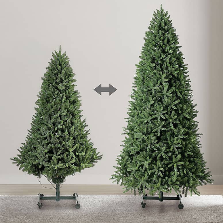 Grow & Stow Christmas Tree